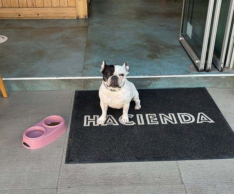 Hacienda officially becomes dog friendly